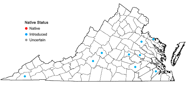 Locations ofCamelina sativa (Linnaeus) Crantz in Virginia