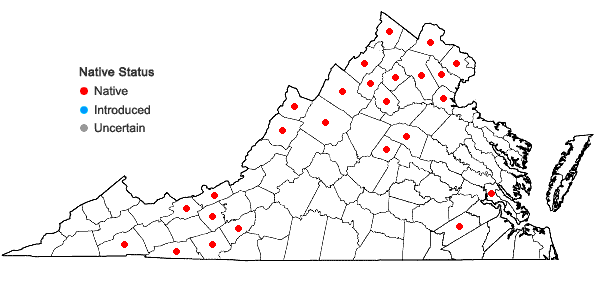 Locations ofCampanula aparinoides Pursh var. aparinoides in Virginia