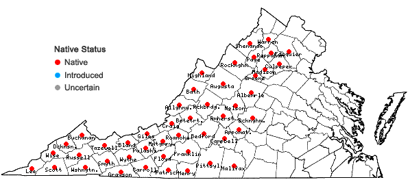 Locations ofCampanula divaricata Michx. in Virginia