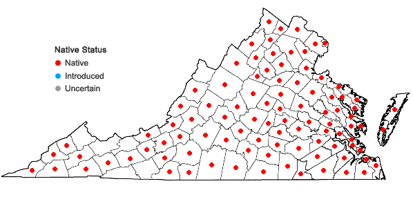 Locations ofCampsis radicans (L.) Seem. ex Bureau in Virginia