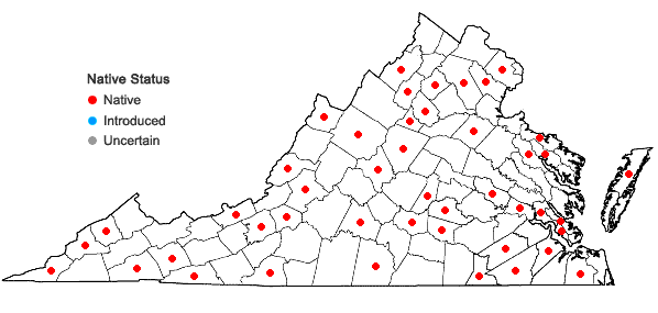 Locations ofCampyliadelphus chrysophyllus (Brid.) Kanda in Virginia