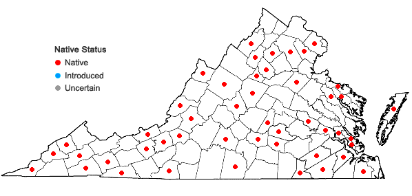 Locations ofCampyliadelphus chrysophyllus (Brid.) Kanda in Virginia