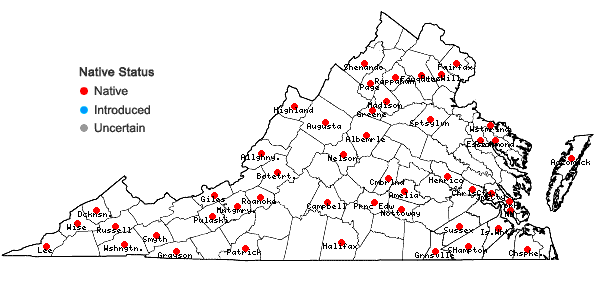 Locations ofCampyliadelphus chrysophyllus (Brid.) Kanda in Virginia