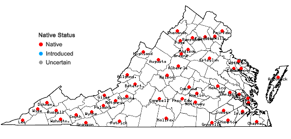 Locations ofCampyliadelphus chrysophyllus (Brid.) Kanda in Virginia