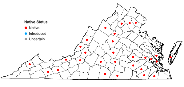Locations ofCampylophyllum hispidulum (Brid.) Hedenäs in Virginia