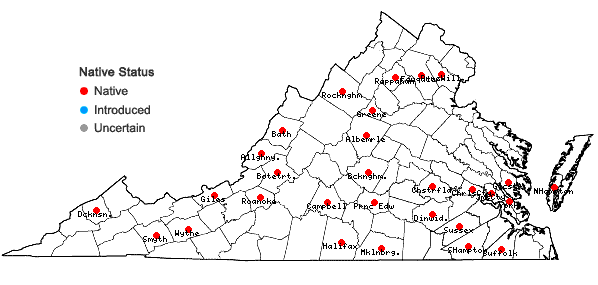 Locations ofCampylophyllum hispidulum (Brid.) Hedenäs in Virginia