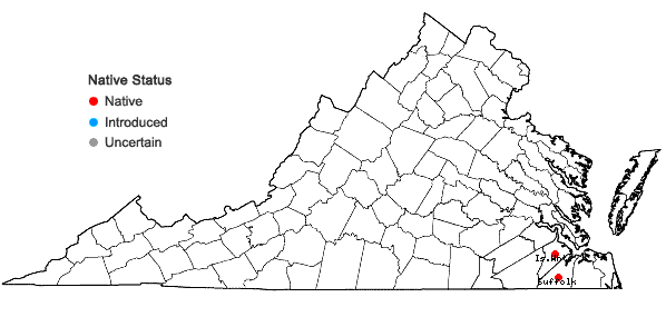 Locations ofCampylopus surinamensis Müll. Hal. in Virginia