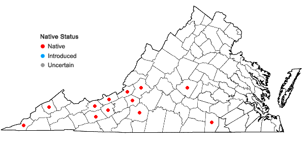 Locations ofCampylopus tallulensis Sull. & Lesq. in Virginia