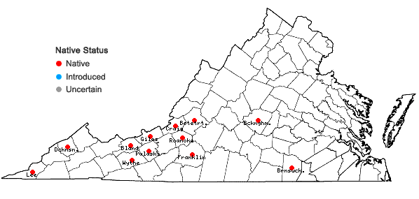 Locations ofCampylopus tallulensis Sull. & Lesq. in Virginia