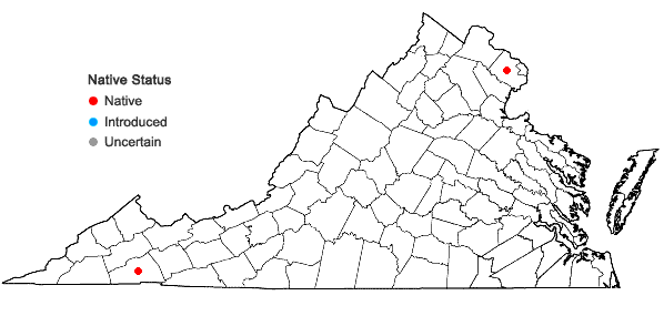 Locations ofCampylostelium saxicola (F. Weber & D. Mohr) Bruch & Schimp. in Virginia