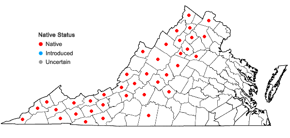 Locations ofCapnoides sempervirens (L.) Borkh. in Virginia