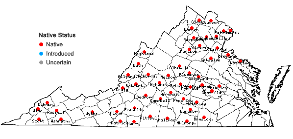 Locations ofCardamine angustata O. E. Schulz in Virginia