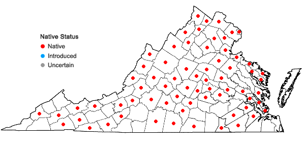 Locations ofCardamine bulbosa (Schreber ex. Muhlenberg) Britton, Sterns & Poggenberg in Virginia