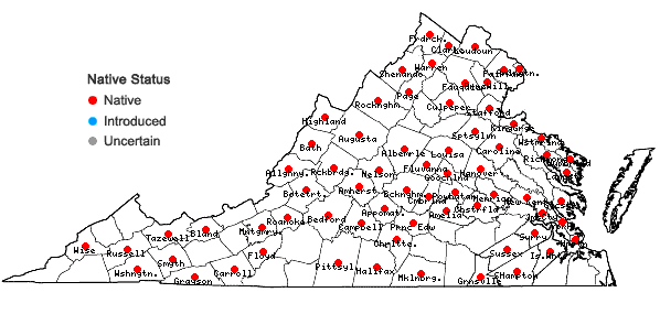 Locations ofCardamine bulbosa (Schreber ex. Muhlenberg) Britton, Sterns & Poggenberg in Virginia