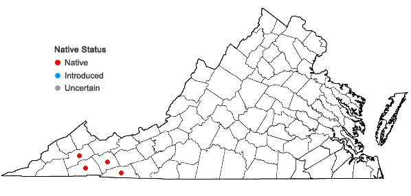 Locations ofCardamine clematitis Shuttleworth ex. A. Gray in Virginia