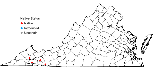 Locations ofCardamine clematitis Shuttleworth ex. A. Gray in Virginia