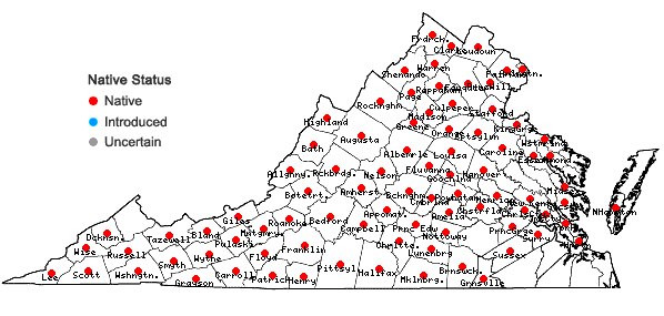 Locations ofCardamine concatenata (Michaux) O. Schwarz in Virginia