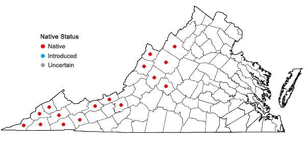 Locations ofCardamine diphylla (Michaux) A. Wood in Virginia