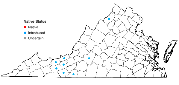 Locations ofCardamine impatiens Linnaeus in Virginia