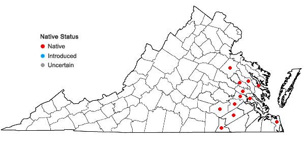 Locations ofCardamine longii Fernald in Virginia