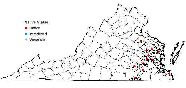 Locations ofCardamine longii Fernald in Virginia