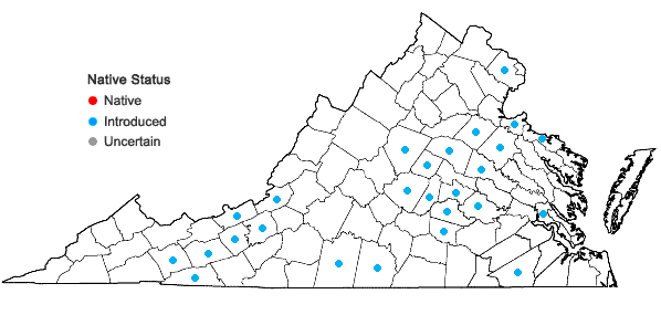 Locations ofCardamine occulta Hornem. in Virginia