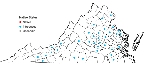 Locations ofCardamine occulta Hornem. in Virginia