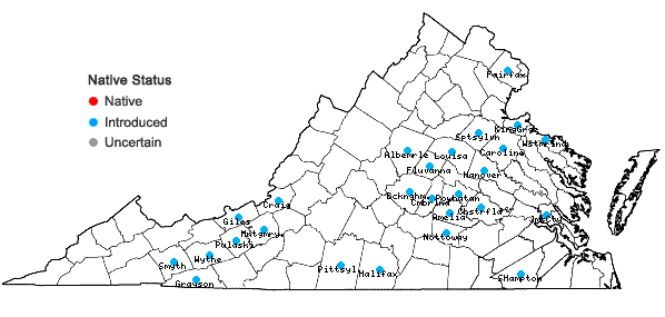 Locations ofCardamine occulta Hornem. in Virginia