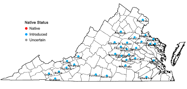 Locations ofCardamine occulta Hornem. in Virginia