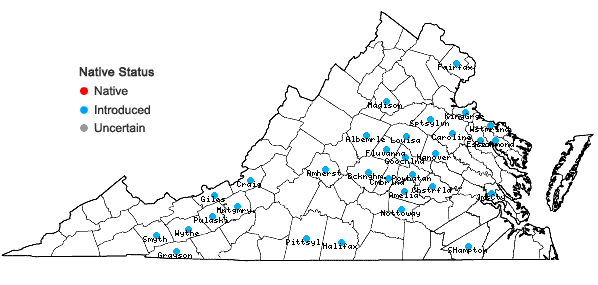Locations ofCardamine occulta Hornem. in Virginia