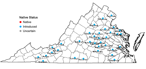 Locations ofCardamine occulta Hornem. in Virginia