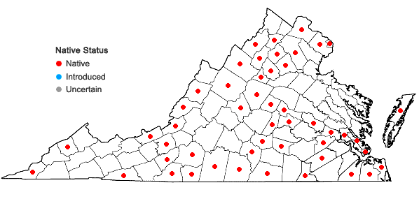 Locations ofCardamine parviflora Linnaeus var. arenicola (Britton) O. E. Schulz in Virginia