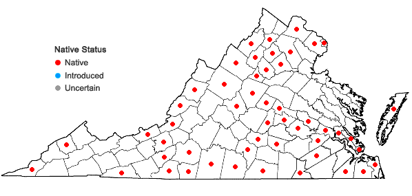 Locations ofCardamine parviflora Linnaeus var. arenicola (Britton) O. E. Schulz in Virginia