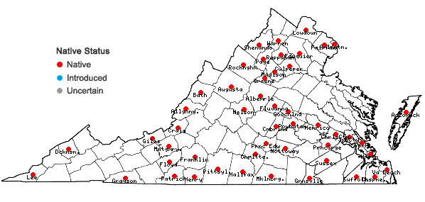 Locations ofCardamine parviflora Linnaeus var. arenicola (Britton) O. E. Schulz in Virginia