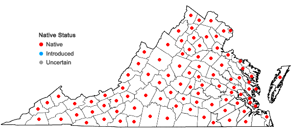 Locations ofCardamine pensylvanica Muhlenberg ex Willdenow in Virginia