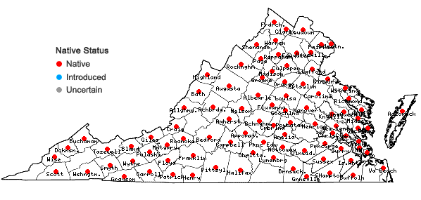 Locations ofCardamine pensylvanica Muhlenberg ex Willdenow in Virginia