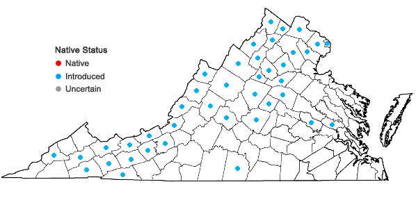 Locations ofCarduus acanthoides L. ssp. acanthoides in Virginia