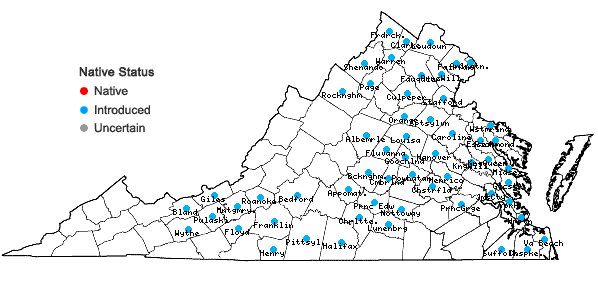 Locations ofCarduus nutans L. in Virginia