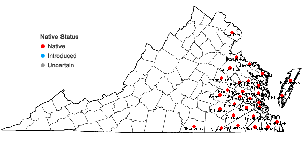 Locations ofCarex abscondita Mackenzie in Virginia