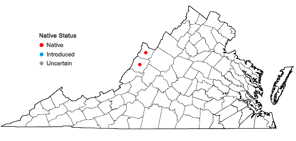 Locations ofCarex aestivaliformis Mackenzie in Virginia