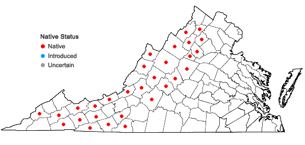 Locations ofCarex aestivalis M.A. Curtis ex Gray in Virginia