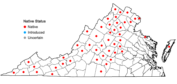 Locations ofCarex aggregata Mackenzie in Virginia