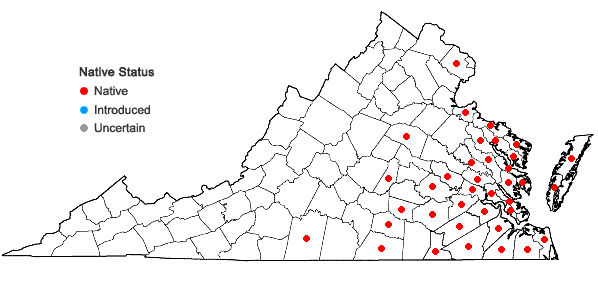 Locations ofCarex alata Torrey in Virginia