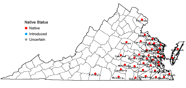 Locations ofCarex alata Torrey in Virginia