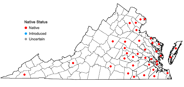 Locations ofCarex albicans Willd. ex Sprengel var. emmonsii (Dewey ex Torr.) Rettig in Virginia