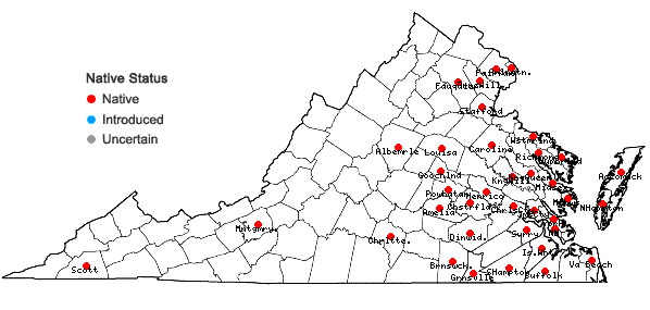 Locations ofCarex albicans Willd. ex Sprengel var. emmonsii (Dewey ex Torr.) Rettig in Virginia