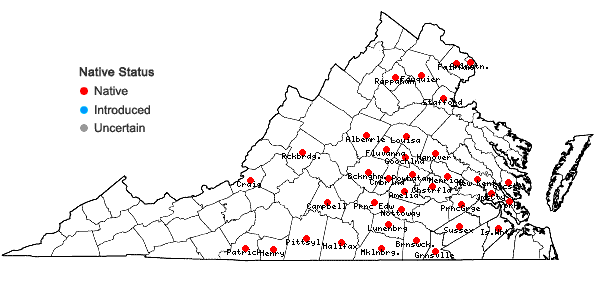 Locations ofCarex albicans Willd. ex Sprengel var. australis (Bailey) Rettig in Virginia