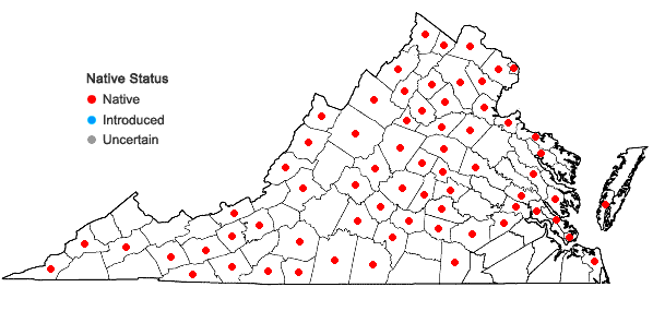 Locations ofCarex albicans Willd. ex Sprengel var. albicans in Virginia