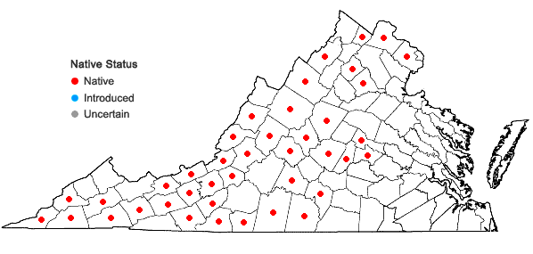 Locations ofCarex albursina Sheldon in Virginia