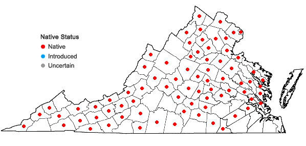 Locations ofCarex amphibola Steudel in Virginia